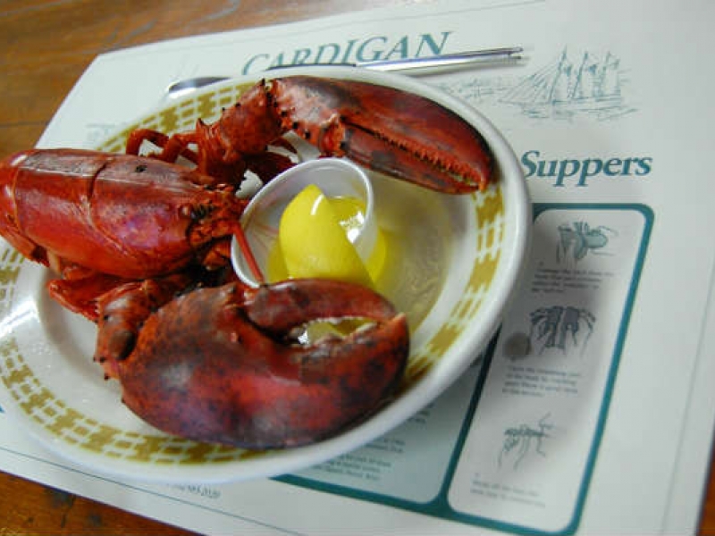 Cardigan Lobster Suppers