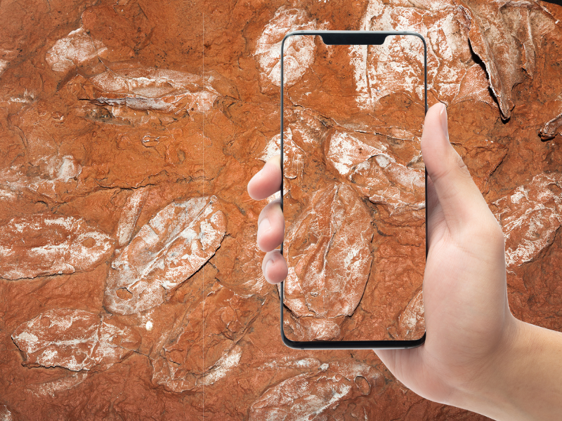 Graphic image of fossils with person holding a mobile photo taking a pic