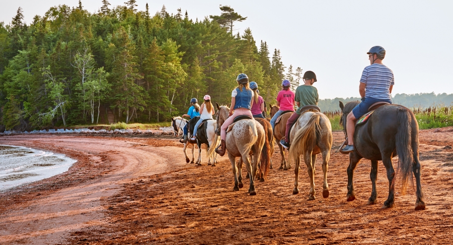 Brudenell Trail Ride, horse rides, forest, lots of riders