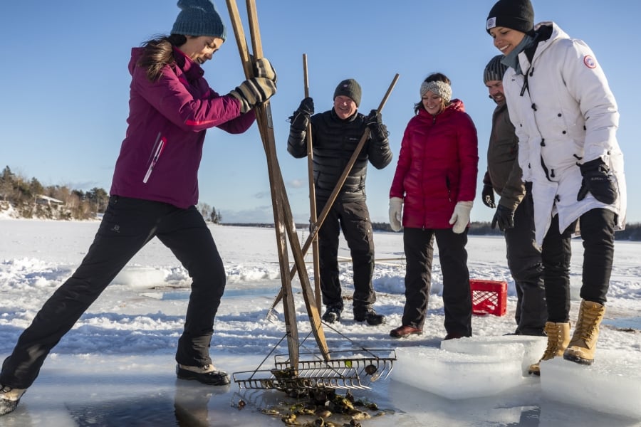 Group of five ice fishing for oysters on PEI