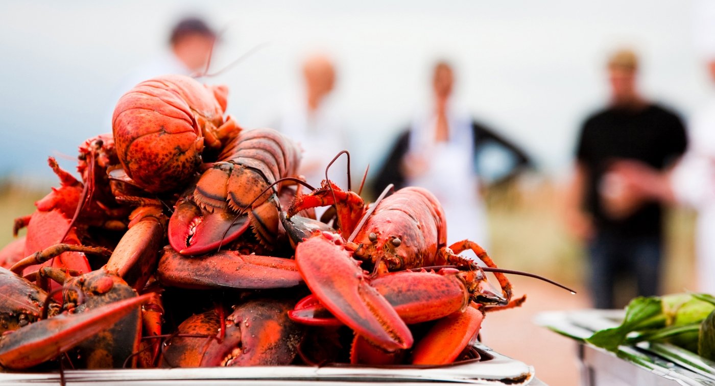 Lobsters, cooked lobster, closeup
