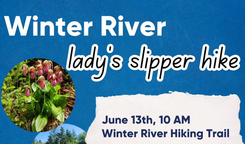 Lady Slipper Walk