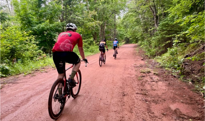 Tailwind Cycling Tours