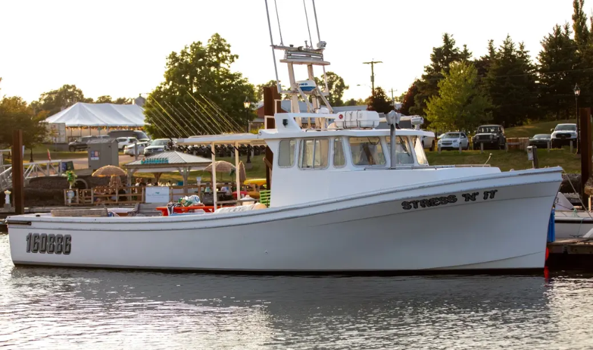 Three Rivers Boat Tours