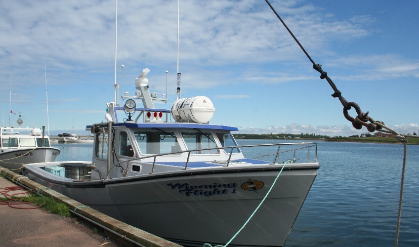 Off the Hook Deep-Sea Fishing