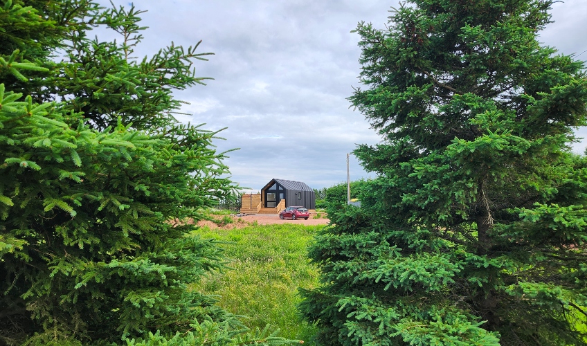 Tiny Home and Harvest