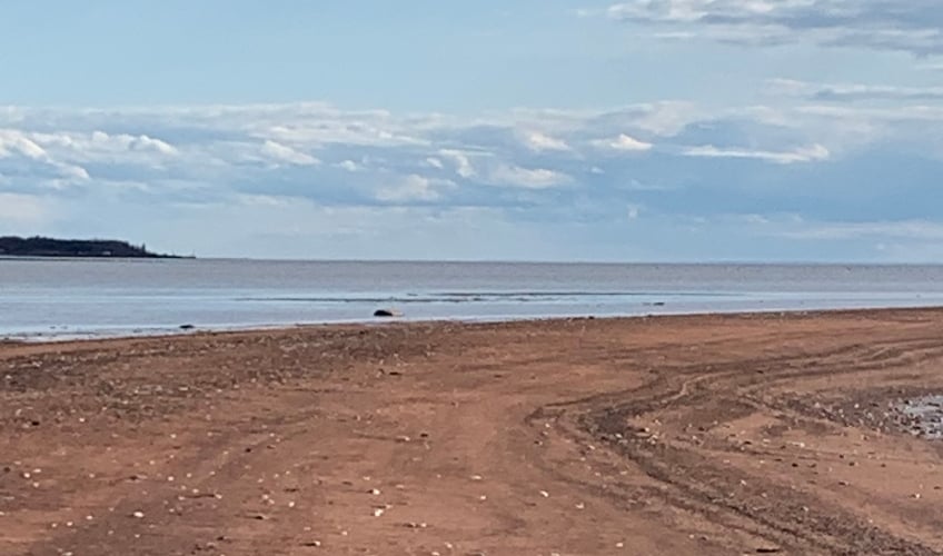 Seaside Stay n' Play