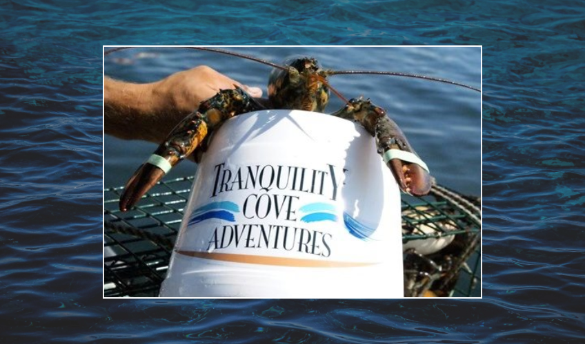 From Boat to Brewery: A Coastal Experience