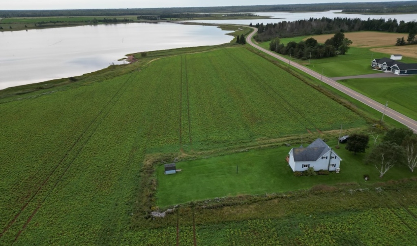 Lobster Lodge