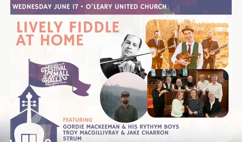 Lively Fiddle at Home