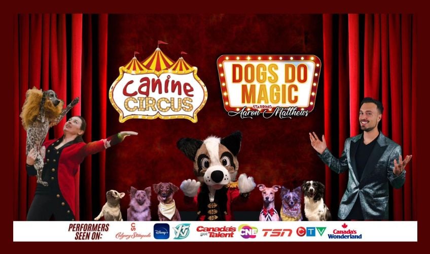 Dogs Do Magic