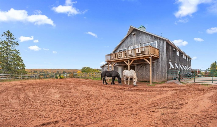 Yellowstone Mare & Foal Farmstay