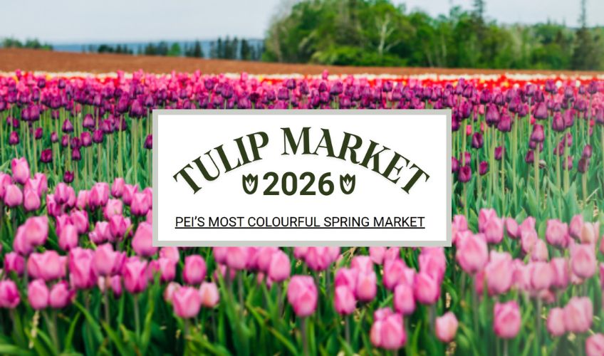 Tulip Market