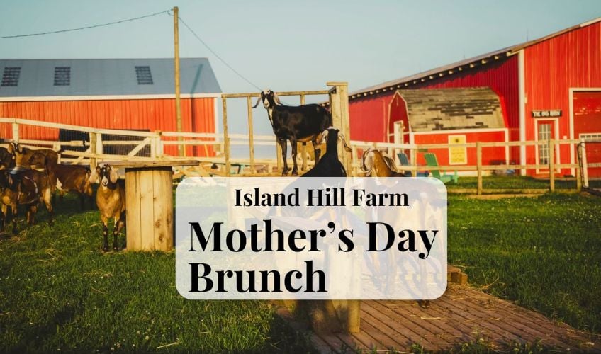 Mother's Day Farm Brunch