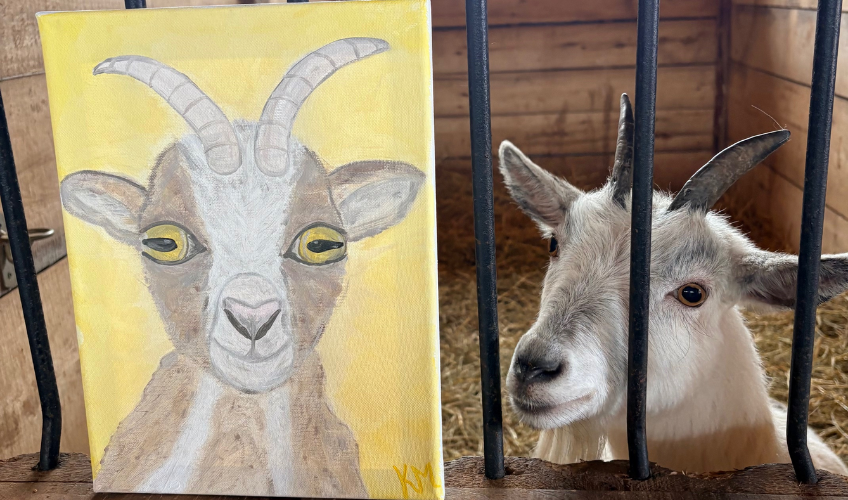 Brush Strokes & Bleats: Goat Guided Art