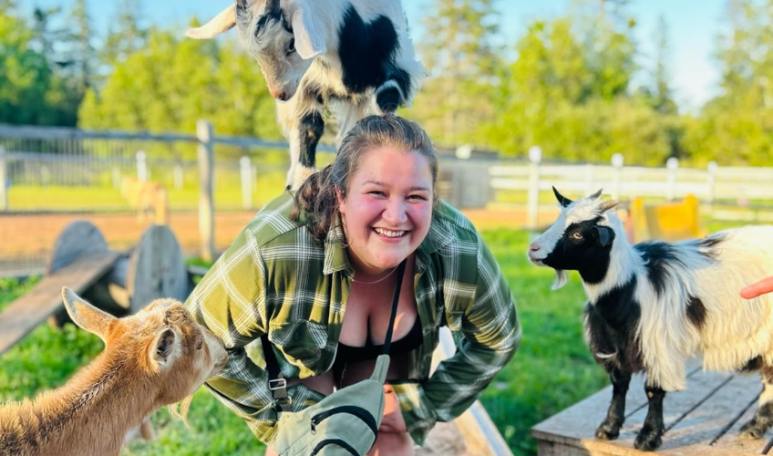 Brush Strokes & Bleats: Goat Guided Art
