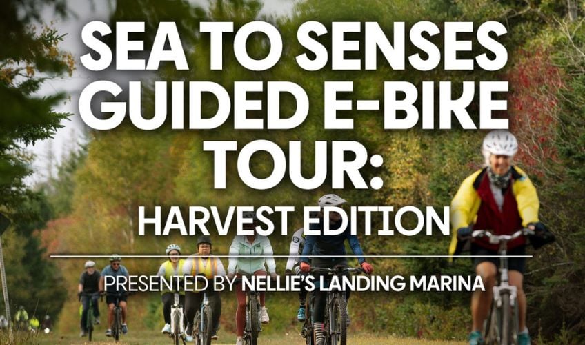 Sea to Senses Guided E-Bike Tour: Harvest Edition