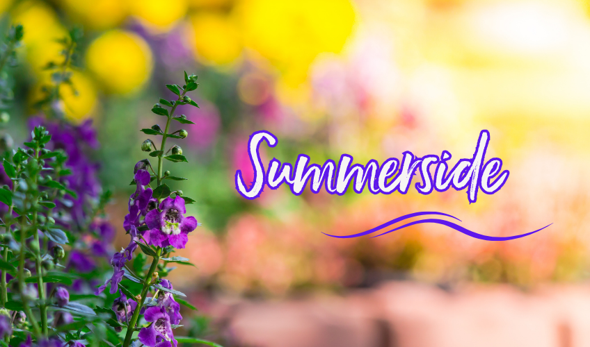 Garden Tours - July 26