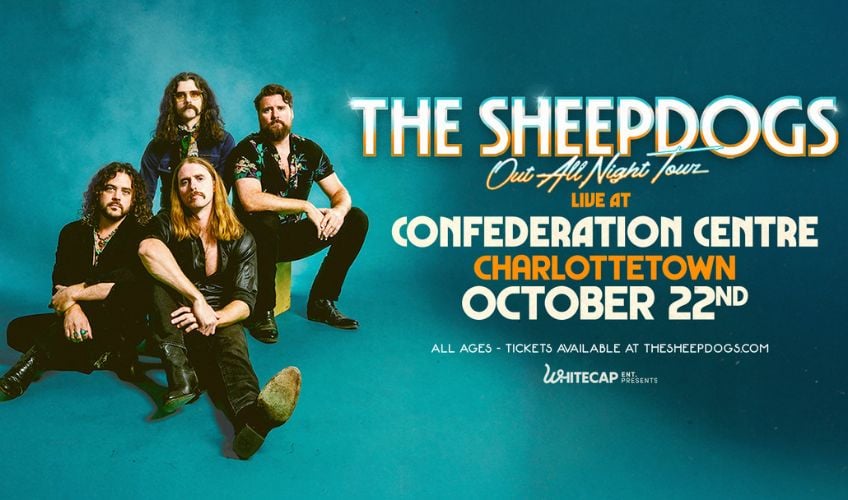 The Sheepdogs