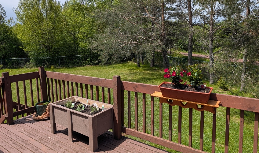 Summerside Serenity House Rental