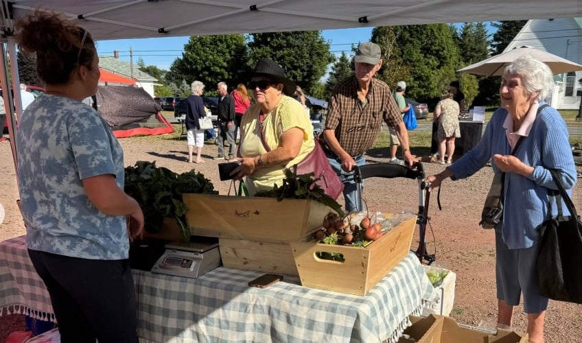 Tyne Valley Friday Night Market