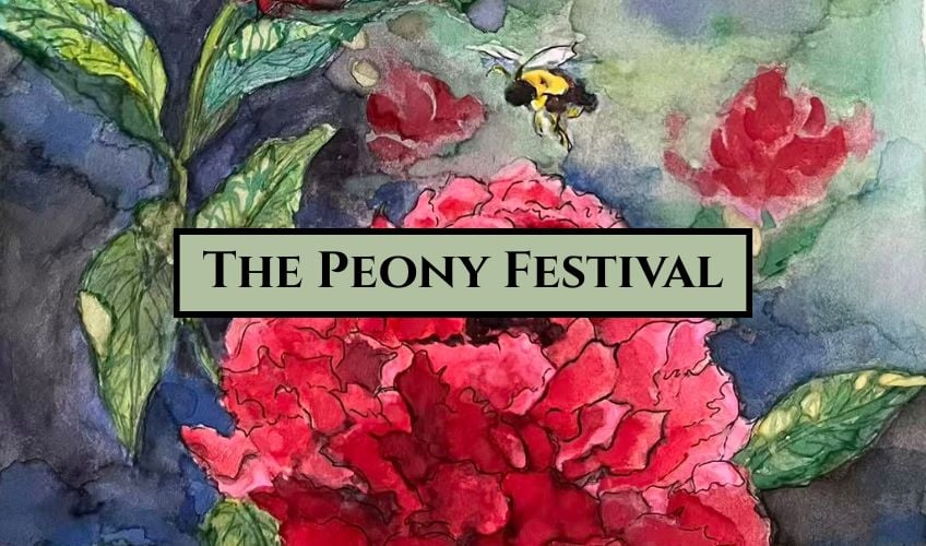 Peony Festival