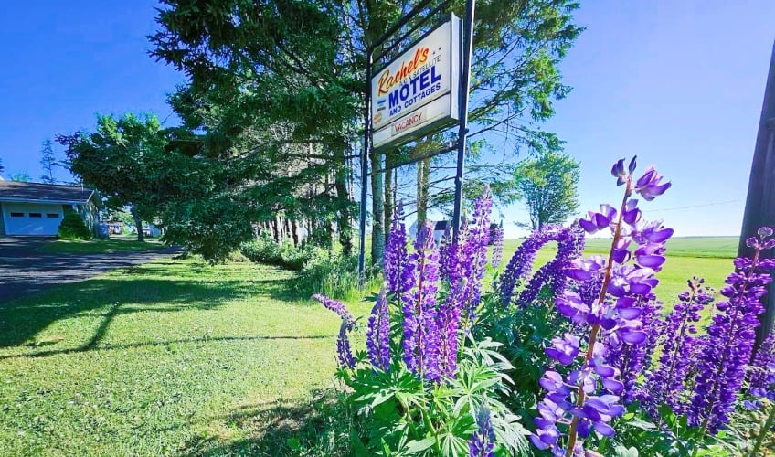 Rachel's Motel & Cottages
