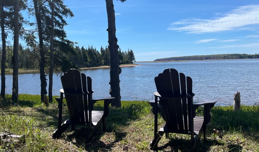 Shoreline Vista