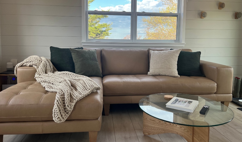 Shoreline Vista