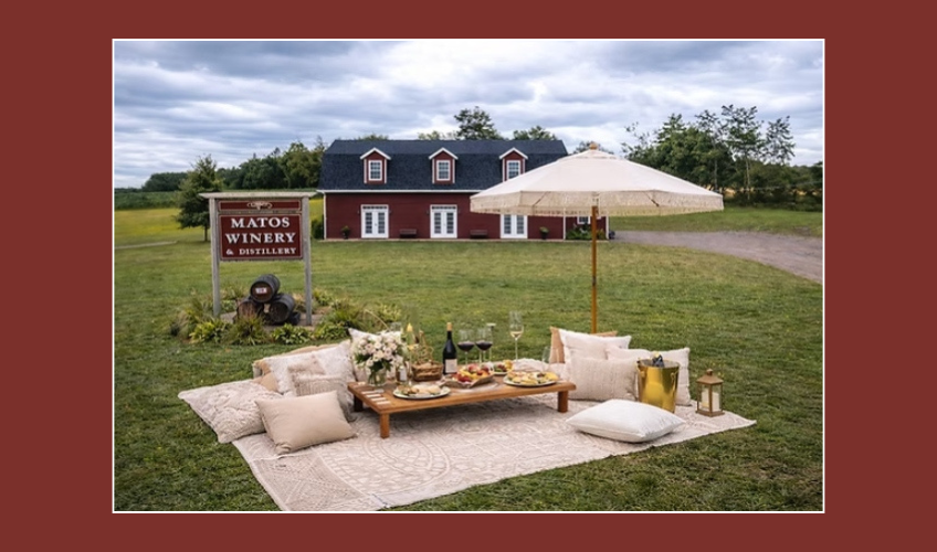 Red Island Picnics & Events