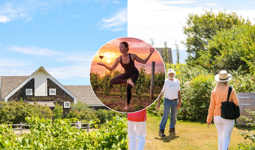 Blissful Island Yoga and Wine Tour - July 5