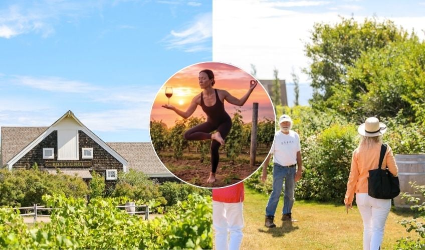 Blissful Island Yoga and Wine Tour - August 30
