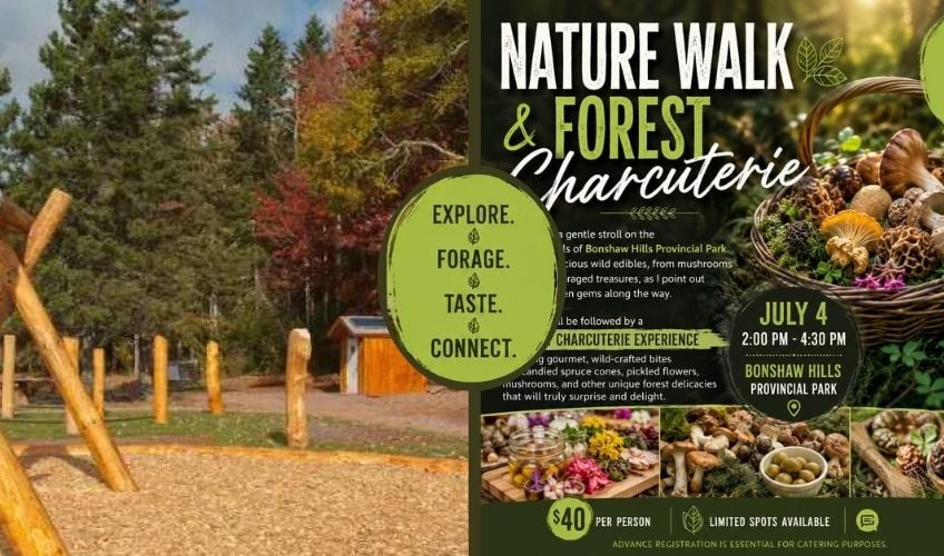 Nature Walk & Forest Charcuterie