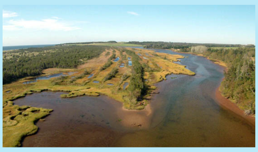 Marine Protected Area Experience at Basin Head