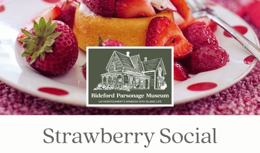 Bideford Museum Strawberry Social