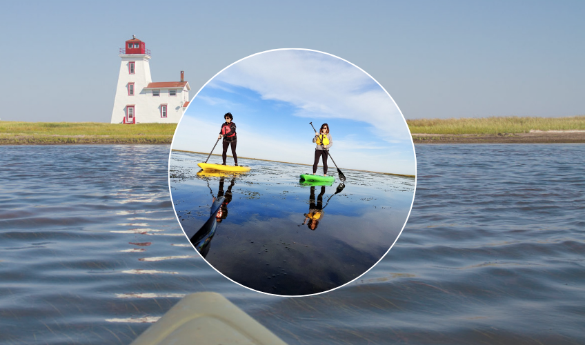 Kildare Lodge Rentals
