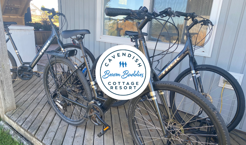 Bosom Buddies Bike Rentals