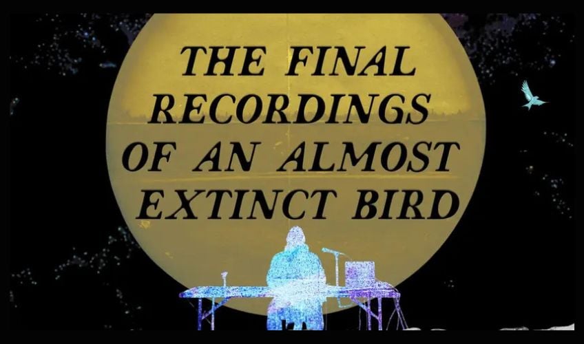 The Final Recordings of an Almost Extinct Bird