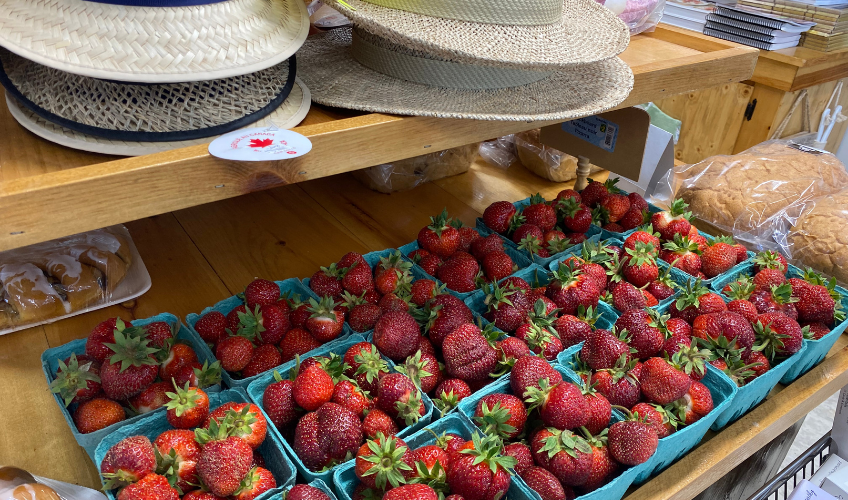 Home Style Flavours Country Market