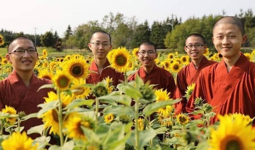 Sunflower Festival