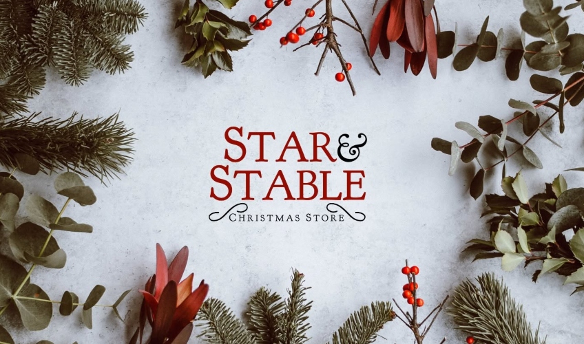Star & Stable Christmas Store