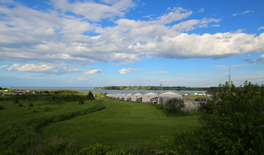 Blue Crest Cottages