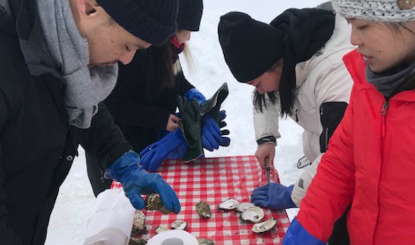 Tranquility Cove's Ice Fishing for Oysters