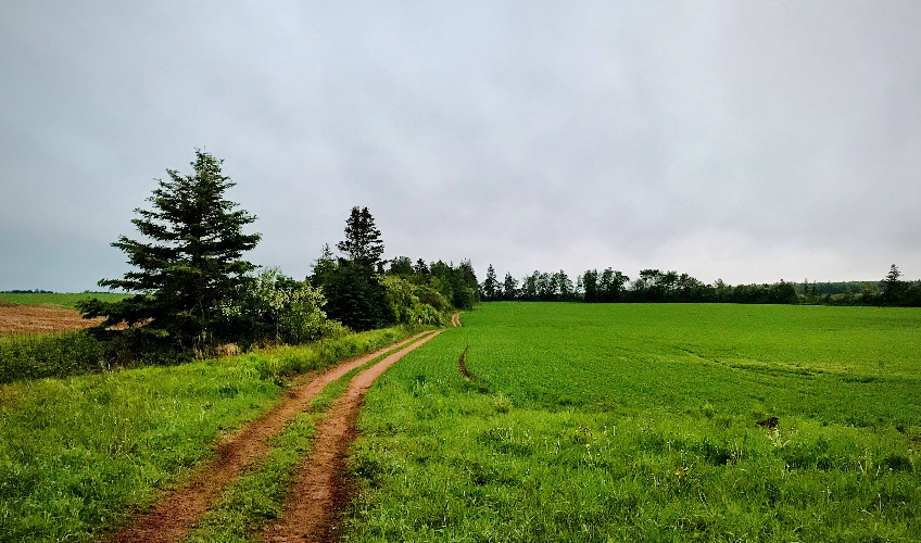 ATV Trails of PEI