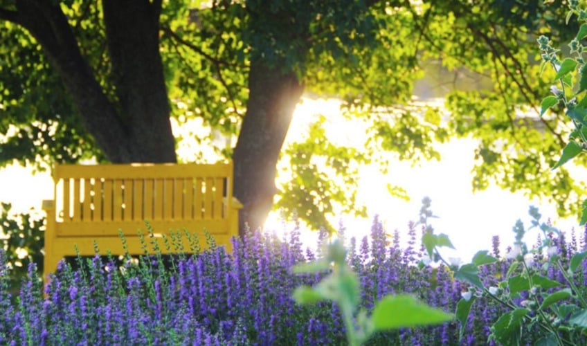 Gardens of Hope & Butterfly House
