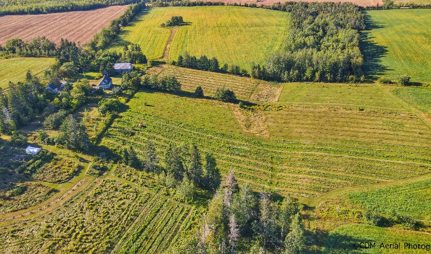 Double Hill Cidery