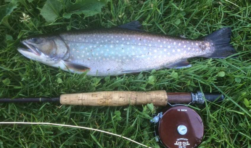 PEI Fly King