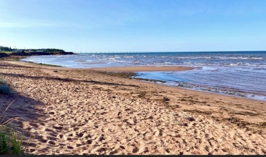 Ocean Dream Chelton Beach Cottage Rental