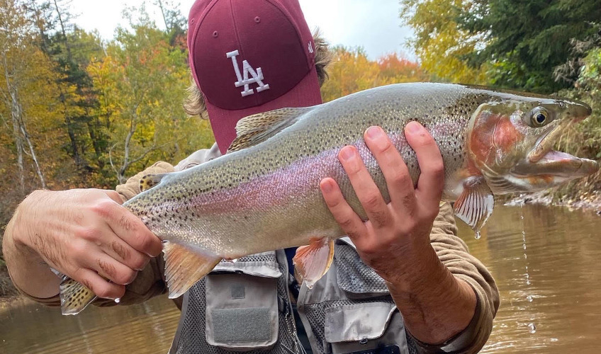 Tip to Tip Fly Fishing