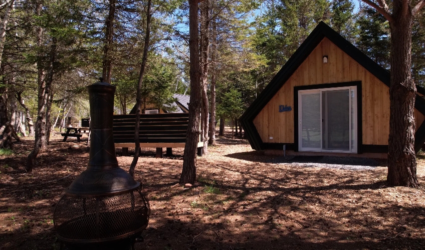 Wild Pines Cabins